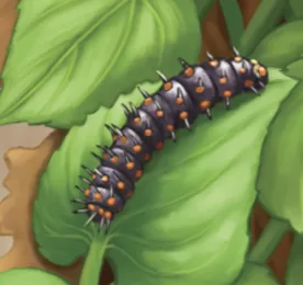 sm cat fritill png